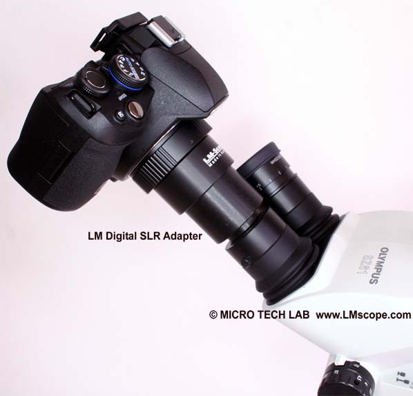tubo ocular Olymypus SZ61 con LM digital adaptadador DSLRCT, TUST30S y Canon (EOS 650D) Rebel T4i